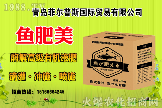 玉米結(jié)實(shí)不好啥原因？有法補(bǔ)救嗎？玉米結(jié)實(shí)不良改善措施！