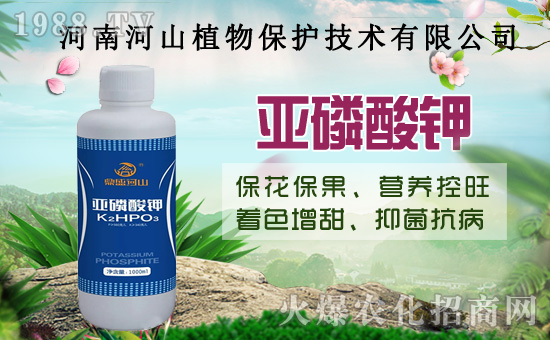 小麥政策加碼！扎堆賣糧！2020年8月14日小麥價格行情！