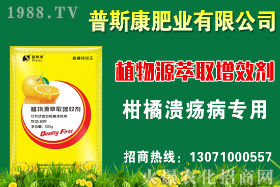 茭白無公害栽培技術(shù)要點(diǎn),茭白采收標(biāo)準(zhǔn)及方法!