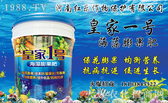 花椒產(chǎn)地主要在哪？花椒價格多少錢一斤？種植前景及效益分析！