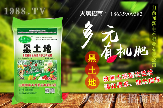 生姜如何選種，生姜什么時(shí)候種植？種植前需注意哪些問(wèn)題？