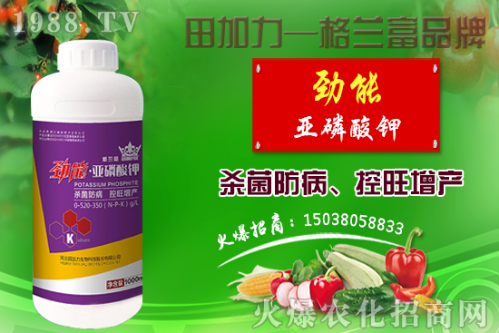 棉花如何做到合理施肥？棉花需肥特性及施肥原則！