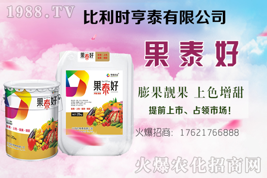 油茶樹的價格怎樣？種植前景如何？油茶樹畝產(chǎn)效益分析！