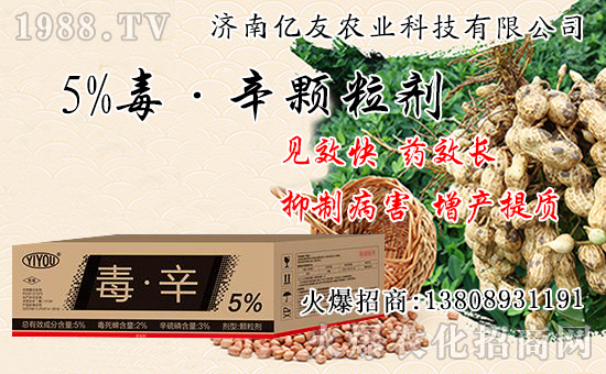 果樹秋栽和春栽有什么不同,果樹秋栽八大關(guān)鍵要點(diǎn)!