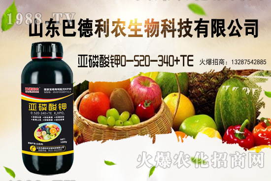 小麥價格能漲到多少錢一斤？部分地區(qū)價格行情！