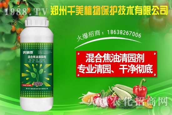 金錢(qián)草種子怎么種？金錢(qián)草種植方法介紹！