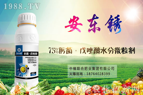 小麥價(jià)格后市將繼續(xù)漲？9月16日小麥價(jià)格走勢！