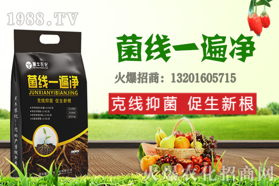 9月19日小麥價(jià)格更新,漲跌互現(xiàn)!