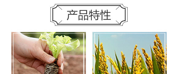 旱可豐（抗旱保水控釋生態(tài)肥+植物營養(yǎng)餐）_04