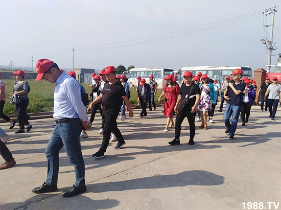 水溶肥市場大變革！？海藻精、魚蛋白將被它代替！1000多用戶鼎力推薦！