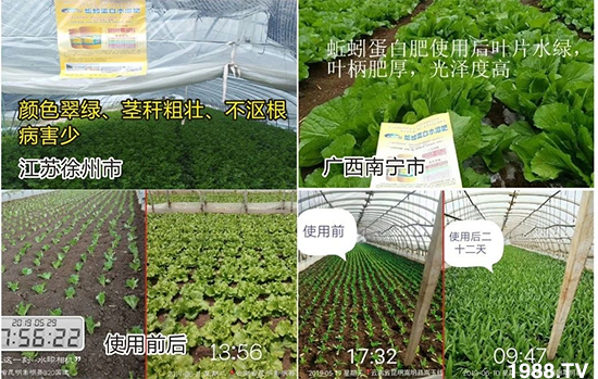 水溶肥市場大變革?。亢Ｔ寰?、魚蛋白將被它代替！1000多用戶鼎力推薦！