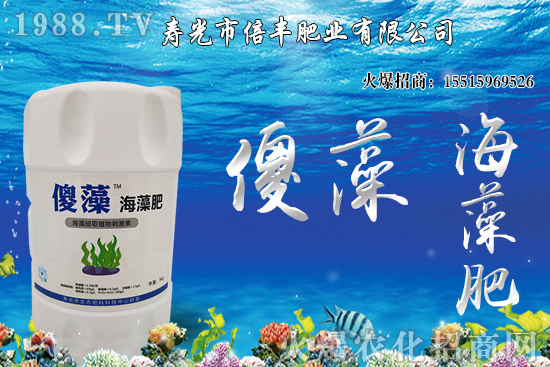 市場(chǎng)逐步回歸正常基本面，大豆價(jià)格沖高回落！