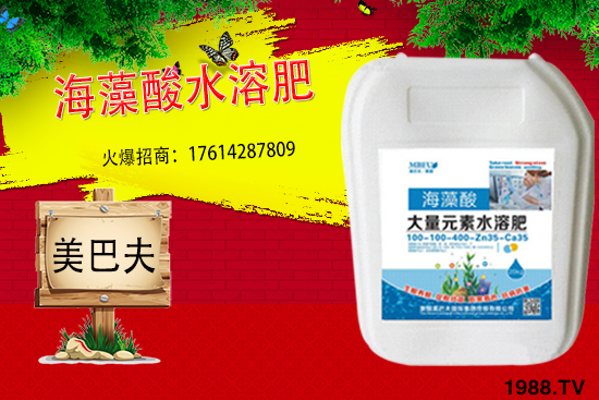 海藻肥具有哪些作用？與傳統(tǒng)肥料相比有何優(yōu)勢？