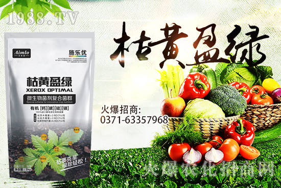 十月即將到來，麥價能漲多少？9月29日小麥價格走勢！