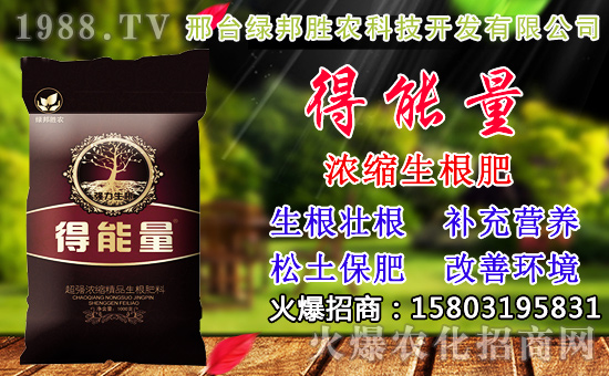 2020��С���N������x���߮a(ch��n)С��Ʒ�N����Щ��