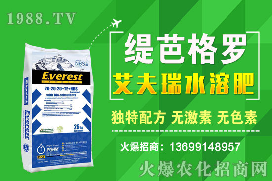 小麥價(jià)格漲了!十月小麥行情預(yù)測(cè)!