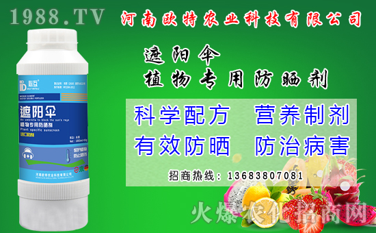 馬鈴薯可以和那些作物套種？馬鈴薯套種模式有什么好處？