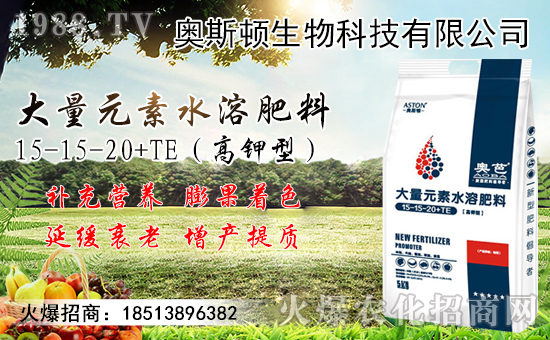 小麥價(jià)格行情能上漲多少？附今日新小麥價(jià)格