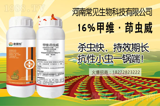 土豆幾月份種合適?(附如種植方法及田間管理)