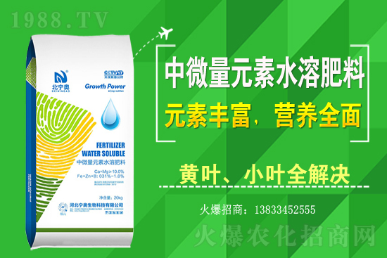 黃花菜該怎么種植？黃花菜種植過(guò)程需注意哪些問(wèn)題？