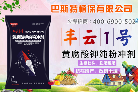 新品上市，定金翻倍！1000定金抵2000，超值優(yōu)惠，限時(shí)搶定...