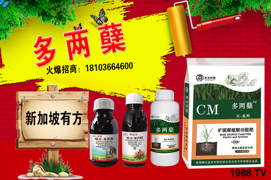 2021葡萄柚種植前景如何?葡萄柚和普通柚子有何區(qū)別?