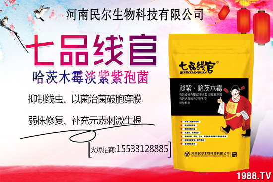 雪桃苗價(jià)格多少錢一株？雪桃種植前景怎樣？