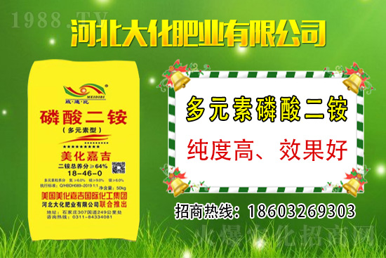 小麥價格多少錢一斤?2021年3月12日麥價格分析