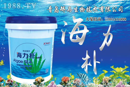 雪桃苗價格多少錢一棵？2021年種植雪桃能賺錢嗎？