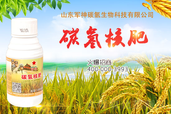 碳氫核肥是什么肥？為什么效果這么好？