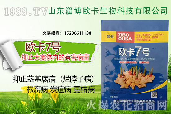 歐卡生物再簽1988.TV，力求實現(xiàn)企業(yè)騰飛夢！