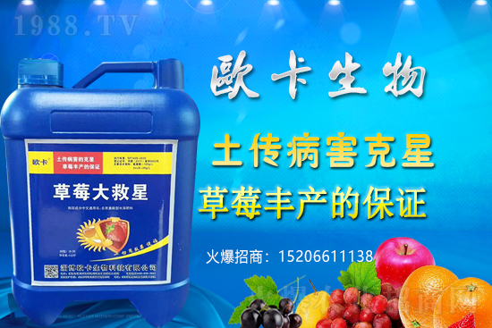 歐卡生物再簽1988.TV，力求實現(xiàn)企業(yè)騰飛夢！