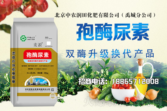 2021年6月17日國內各地尿素價格行情日報