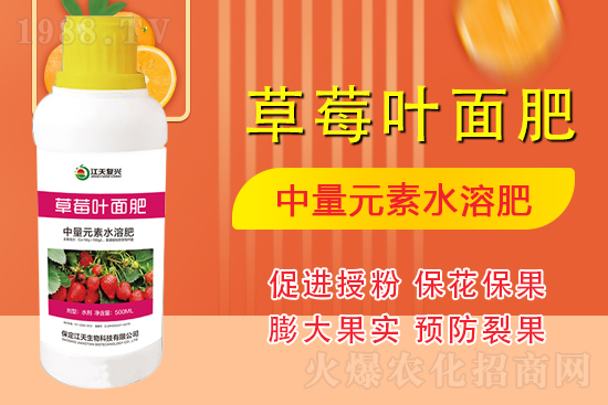 合作發(fā)展，共創(chuàng)未來(lái)，江天生物簽約1988.TV，共創(chuàng)新輝煌！