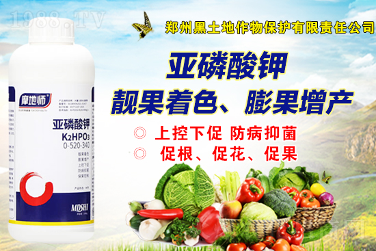2021年9月1日國內(nèi)磷銨價(jià)格行情走勢