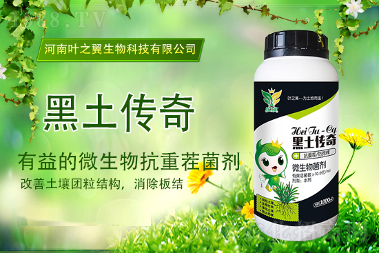 今日尿素報價，2021年9月15日國內(nèi)各地尿素價格行情