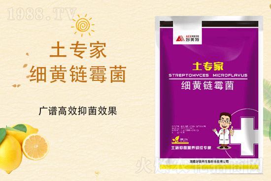 一銨暫穩(wěn)為主，2021年9月23日磷銨價(jià)格行情走勢