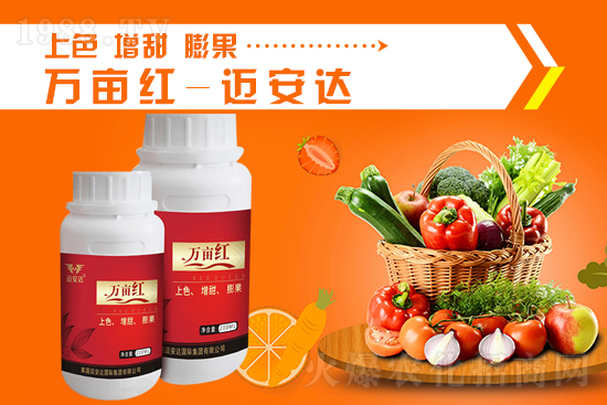 2021年9月24日國內(nèi)鉀肥價格行情走勢