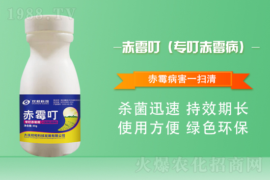 合作再升級(jí)！大連雙和科技再簽1988.TV，共創(chuàng)新輝煌！