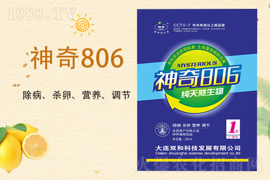 合作再升級(jí)！大連雙和科技再簽1988.TV，共創(chuàng)新輝煌！