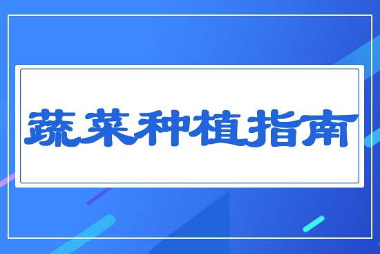 蔬菜種植指南