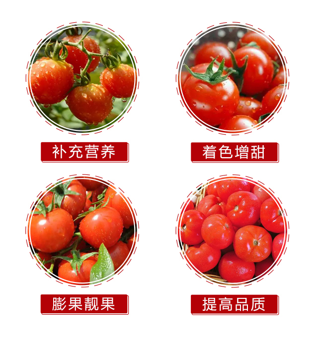 有機(jī)水溶肥料-馥紅-沃爾優(yōu)_05