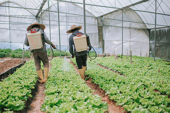 �ذ������ߌóɶ��N�I(y��)���[�����n11��18��