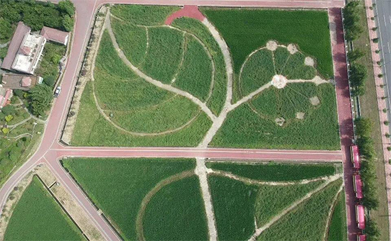 �ذ������ߌóɶ��N�I(y��)���[�����n11��18��