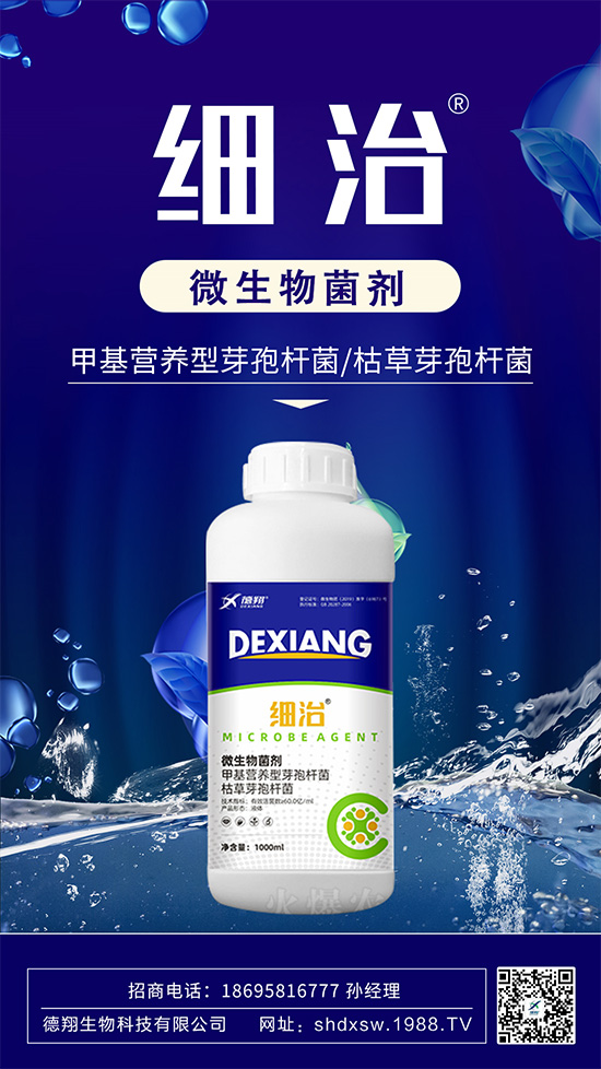 如何有效防治柑橘瘡痂??？柑橘瘡痂病為害及防治藥劑推薦！