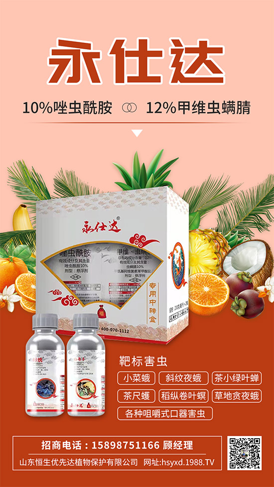 小菜蛾為何防治難？小菜蛾危害癥狀及防治措施！