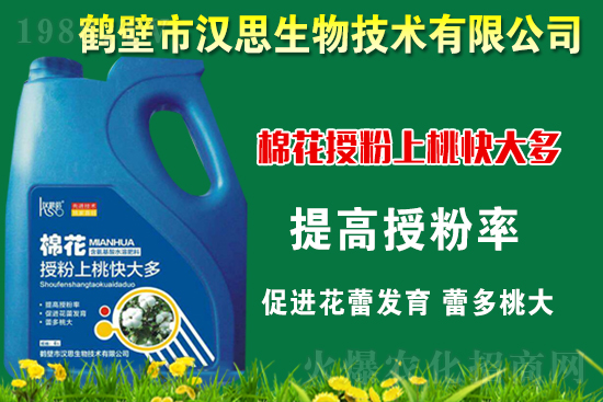 棉花種植怎么管理?棉花各生長期管理要點(diǎn)