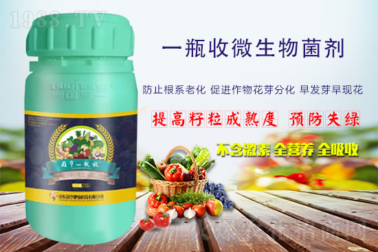 火爆農(nóng)化網(wǎng)喜迎新盟友，攜手國(guó)亨肥業(yè)共走財(cái)富之路！