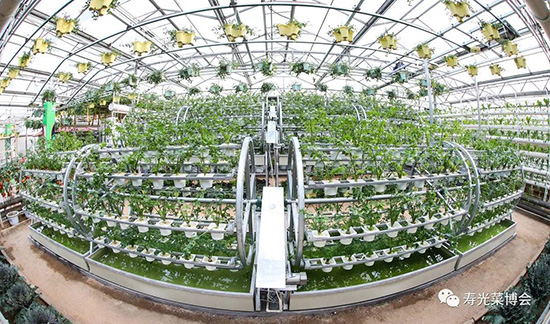 第二十三屆壽光菜博會6