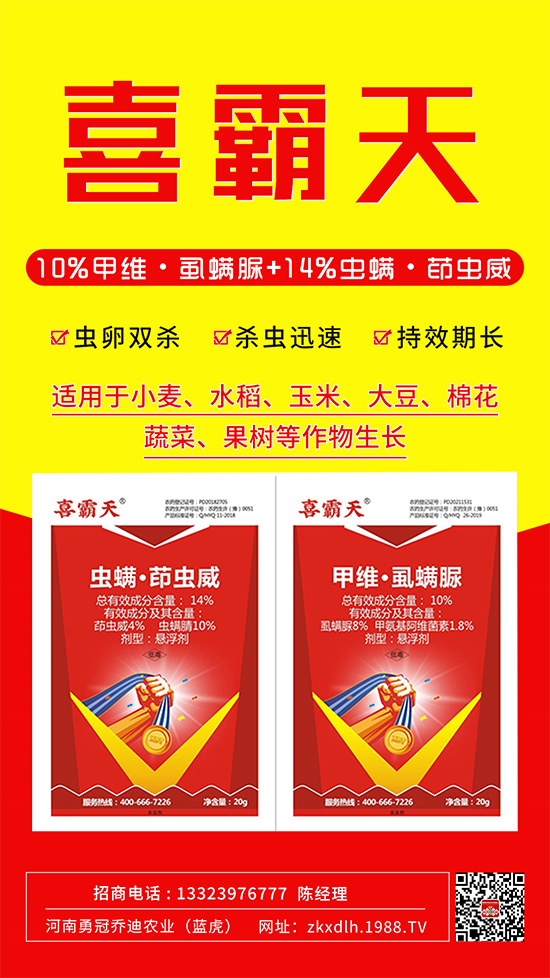 小菜蛾、菜青蟲危害重太難打？這樣用藥！一打一個準!